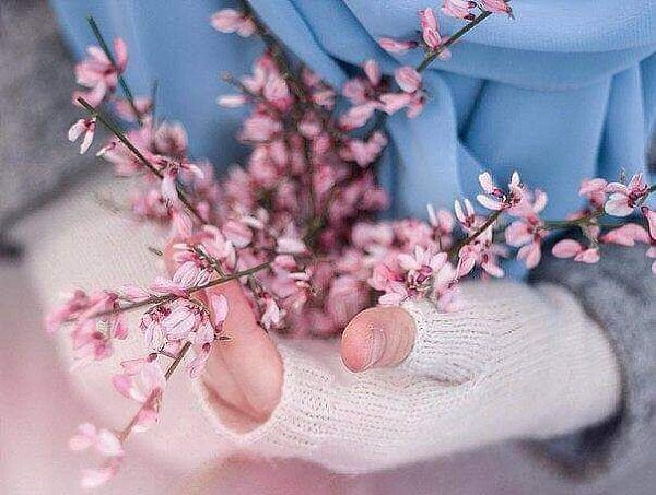 Весны вашему сердцу.. Тепла вашей душе.. ¤ ¤ ¤ ¤ ¤ ¤ ¤ ¤ ¤~~~~~~~ ¤ ¤ ¤ ¤ ¤ ¤ ¤ ¤ ¤ ¤