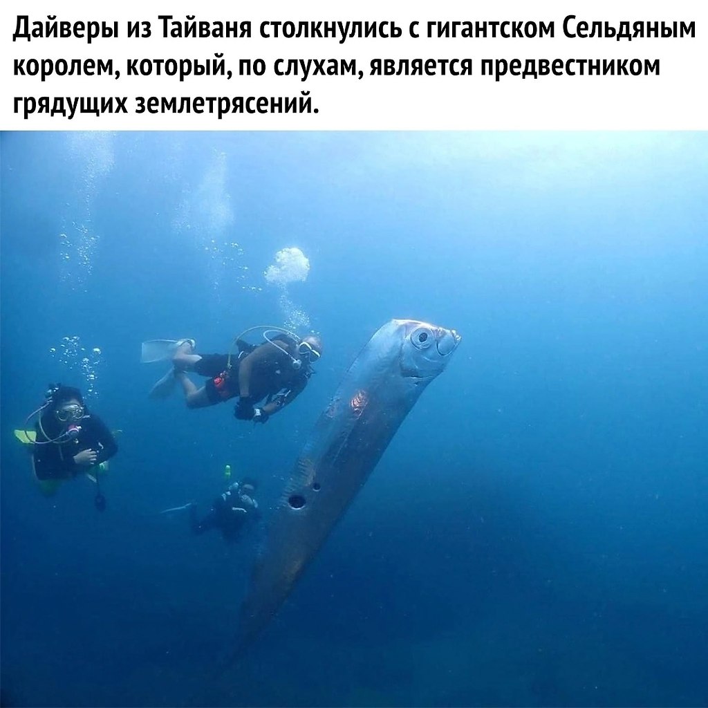   - 2