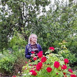 �������, ������, 46 ���