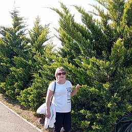 �����, ���������, 46 ���