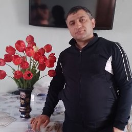 .,  , 39 