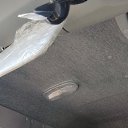 ���� ����, ����������� - ��������� 6 ���� 2023 � ������ ���� ����������