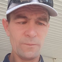 ����, ������, 44 ����