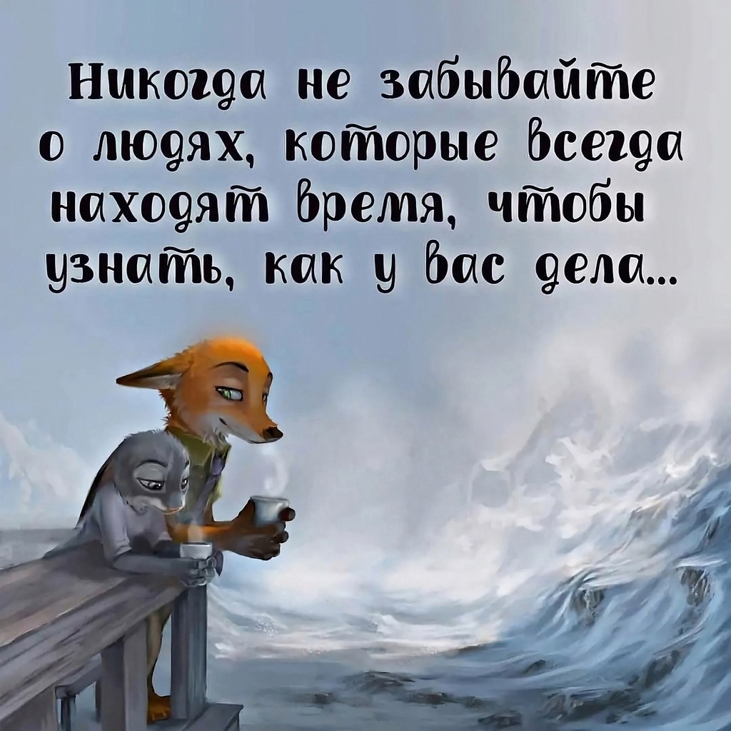   -  ,  -  - 11  2023  08:51