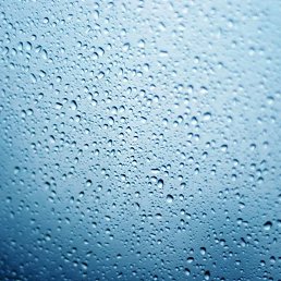 Alla, �����-���������, 31 ���