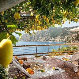 ��������, �����������, 26 ���