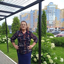 ���� �����, ������, 73 ���� - ��������� 2 ���� 2023