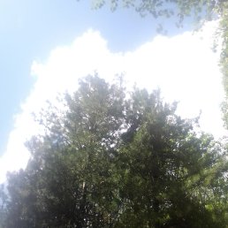 ���� ����, �����, 52 ���� - ��������� 6 ���� 2023