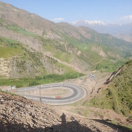 �����, ������, 39 ���