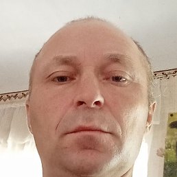 �����, ���������, 43 ����