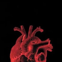 ������, �������, 26 ���