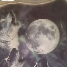 �����, �����, 37 ���