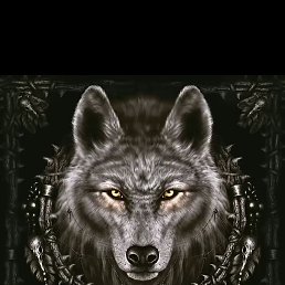 Ffyuhvfh, �������, 40 ���