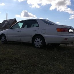 �����, �������, 20 ���