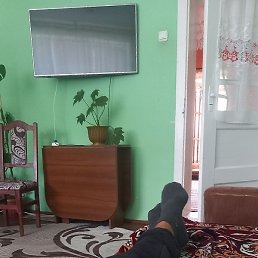 ����, �������, 33 ����