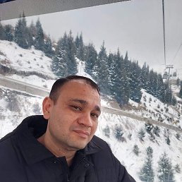 ������, ������, 43 ����