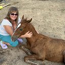 ���� ��������, ������� - ��������� 24 ������� 2023 � ������ ���� ����������