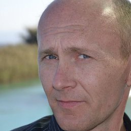 �����, ��������, 46 ���