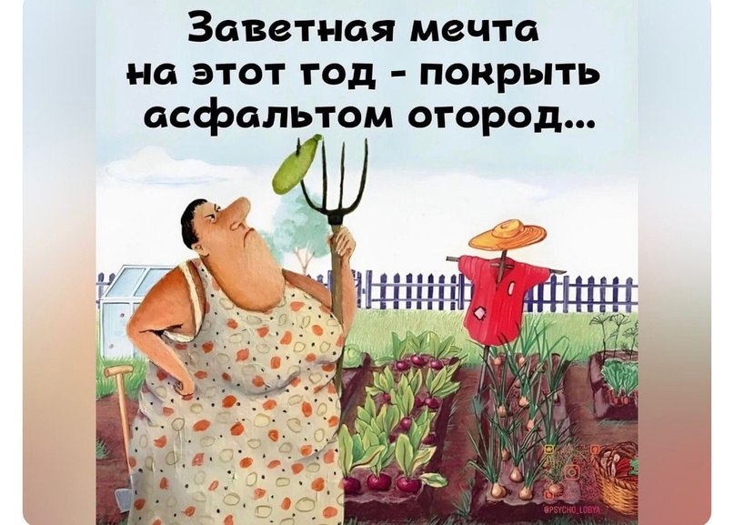     .  ... .     ,     ...