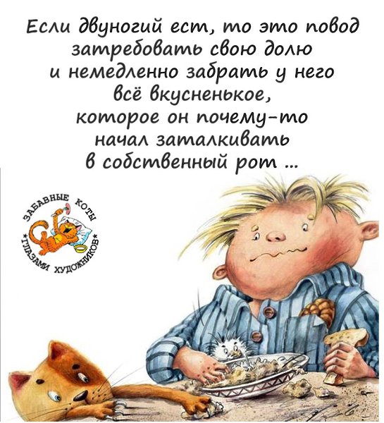  - 28  2023  11:37