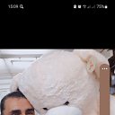���� ������, �����������, 52 ���� - ��������� 21 ������� 2023 � ������ ���� ����������