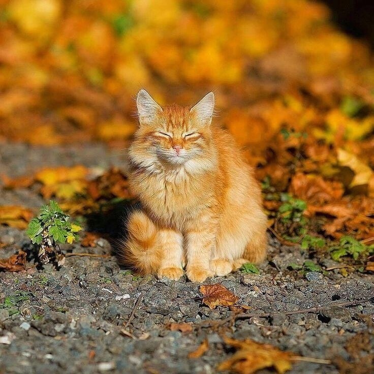  ,   ...     ... ~~~~~~~~~~~~~~~ - 2