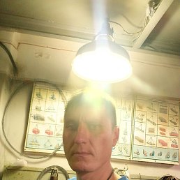 ������, ������, 42 ����