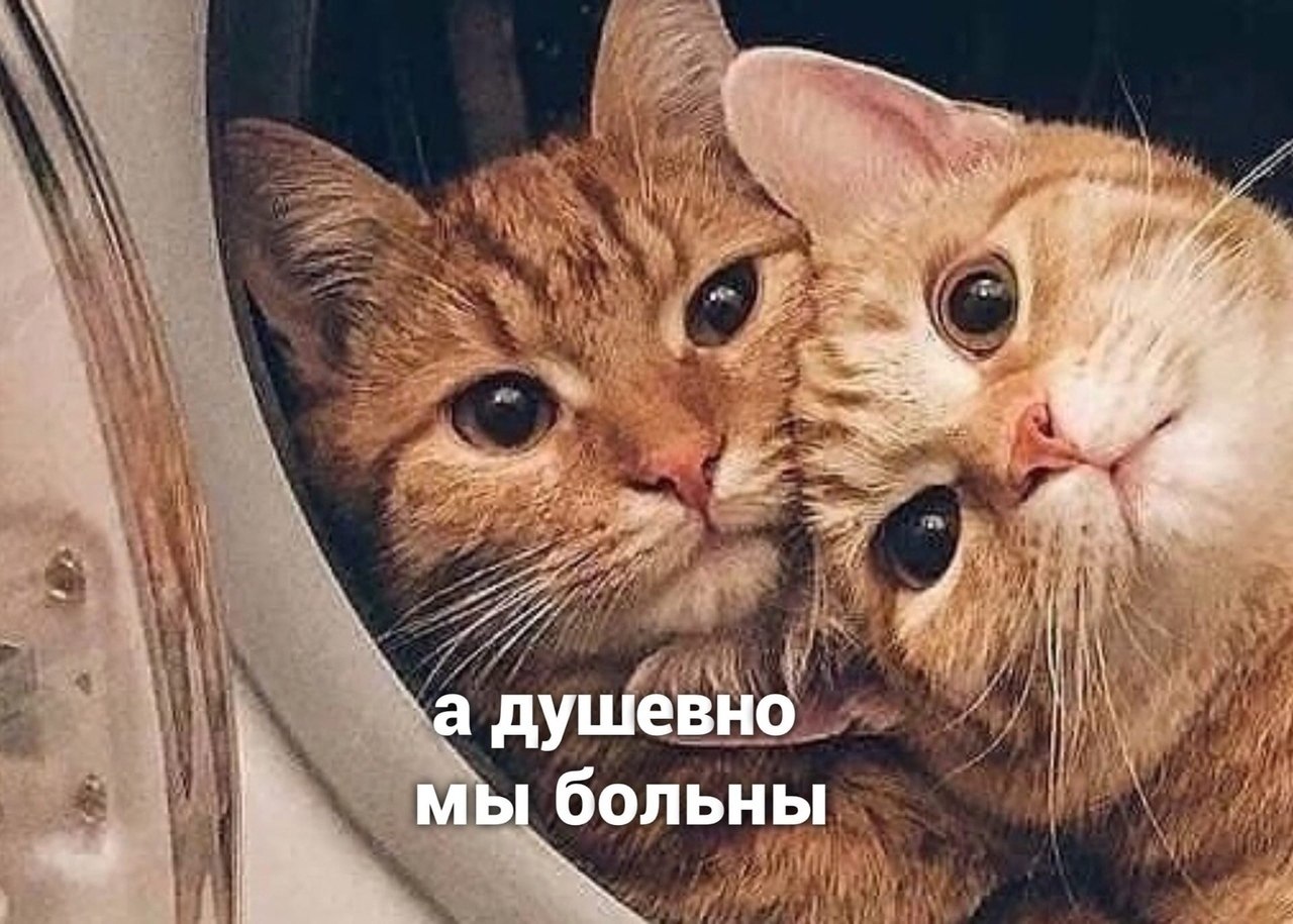  ) - 3