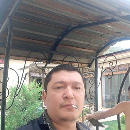 ���� ������, ������, 43 ���� - ��������� 3 �������� 2023