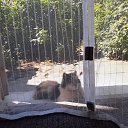  , -, 55  -  30  2023    