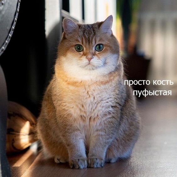   - 13  2023  05:38