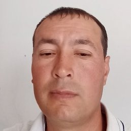 , , 41 