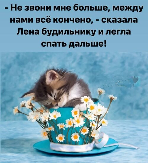   ! - 13  2023  09:36