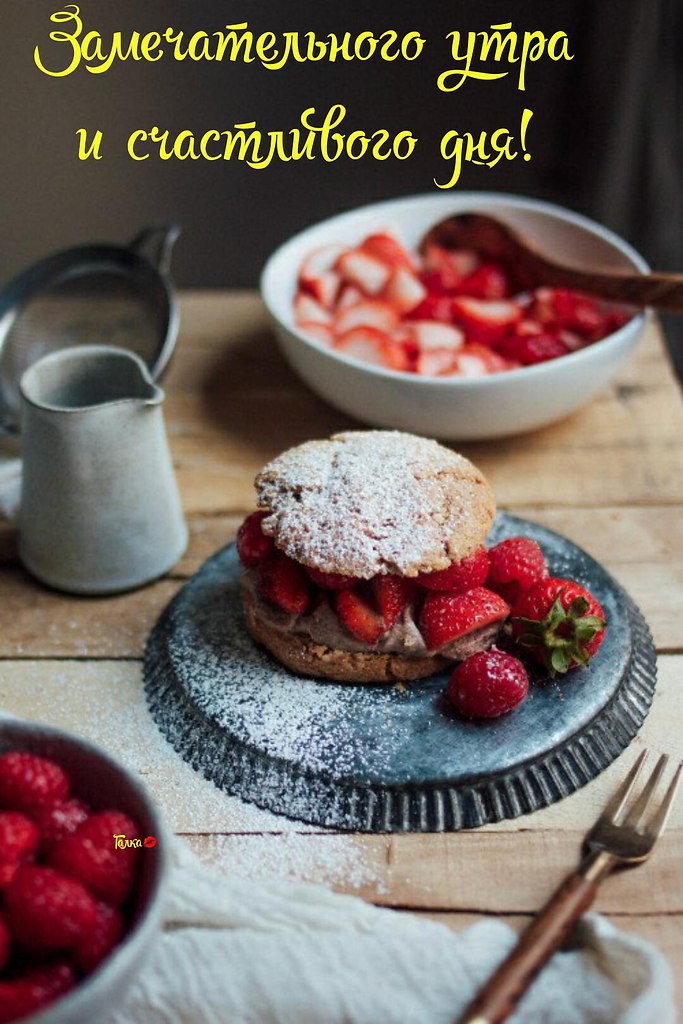 * * * * * * * * * * * * * * * * * * * *