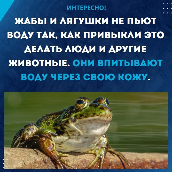   - ! - 22  2023  04:53