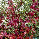 ���� ��������, �����������, 59 ��� - ��������� 30 �������� 2023 � ������ �������
