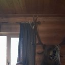 ���� ������, ������, 53 ���� - ��������� 22 ���� 2023 � ������ ���� ����������