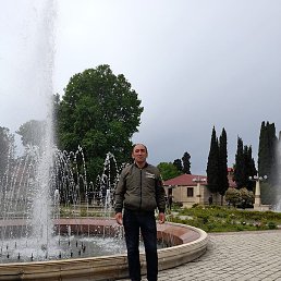 ���������, �����-���������, 41 ���