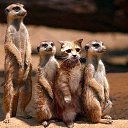  , -, 50  -  26  2023    