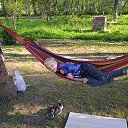 ���� �������, �����������, 68 ��� - ��������� 28 ��� 2023