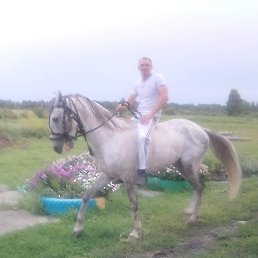 ������, �����������, 42 ����