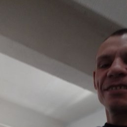 ���������, ���������, 41 ���