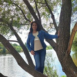 ���, �������, 47 ���