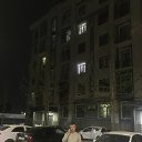 ���� Ziko, �����, 49 ��� - ��������� 11 �������� 2023 � ������ ���� ����������
