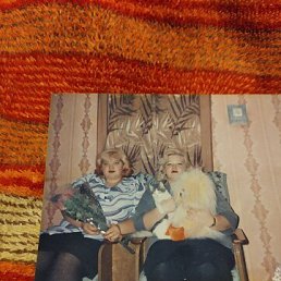 ���� ��������, �������, 56 ��� - ��������� 30 ��� 2023