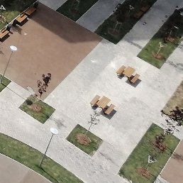 ���, ������, 49 ���