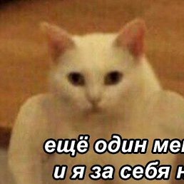 Pavel, �����, 23 ����