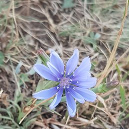 ���� Jun, �������, 38 ��� - ��������� 19 ���� 2023