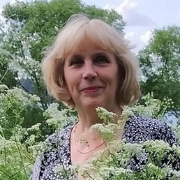 �����, ��������, 65 ���