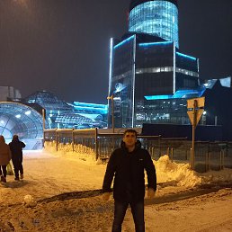 �����, ������, 41 ���